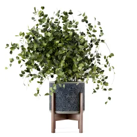 Indoor plants in rusty concrete pot